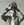 Vignette de Kim Wilde - Schoolgirl