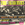 Vignette de The Searchers - Sweet for my sweet