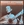 Vignette de Woody Guthrie - House of the rising sun