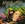 Vignette de Marillion - Market Square Heroes
