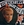 Vignette de Jackie Trent - Bye bye my love (Auf wiedersehen)