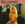 Vignette de Kim Carnes - Bette Davis Eyes