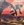 Vignette de The Vamps - Disco Blood (part I)