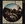 Vignette de Grateful Dead - Born cross-eyed