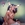 Vignette de Cher - Take me Home