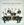 Vignette de Straight No Chaser - The Christmas can-can