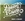 Vignette de Birds of Chicago - Etoile d'amour