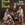 Vignette de Belle Epoque - Black is Black