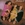 Vignette de Arabesque - Jingle Jangle Joe