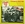 Vignette de Count Five - Psychotic reaction