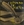 Vignette de Catherine Sauvage - On frappe