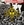 Vignette de Queensrÿche - Revolution Calling