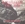 Vignette de Harry McClintock - Hallelujah I'm a bum