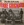 Vignette de Ferre Grignard - Ring, ring, I've got to sing
