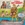 Vignette de Patrick Simpson Jones - La ballade de Davy Crockett