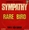 Vignette de Un été 70 - N° 09 (1970 - Rare Birds : Sympathy)