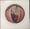 Vignette de Captain Beefheart and his Magic Band - Délire