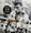 Vignette de Johnny Hallyday - Love on the Bide