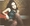 Vignette de Fiona Apple - 90'