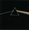 Vignette de Pink Floyd - The Great Gig in the Sky