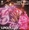 Vignette de Supertramp - Summer Romance