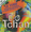 Vignette de É o Tchan - É o Tchan (Pau que nasce torto - Melo do Tchan)