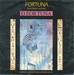 Pochette de Fortuna featuring Satenig - Géant de pierre