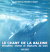 Vignette de Le chant de la baleine - Mégaptère ou baleine à bosse