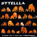 Pochette de Sttellla - La bière