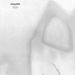 Vignette de The Cure - The Funeral Party