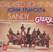 Vignette de John Travolta - Sandy