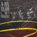 Vignette de A-ha - Train of Thought