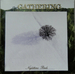 Vignette de The Gathering - On most surfaces (Inuït)