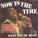 Vignette de Jimmy James & The Vagabonds - Now is the Time