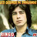 Vignette de Ringo - Les oiseaux de Thaïlande