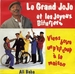 Vignette de Le Grand Jojo et les Joyeux Bituriers - Viens boire un p'tit coup à la maison
